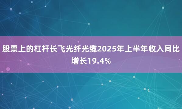股票上的杠杆长飞光纤光缆2025年上半年收入同比增长19.4%